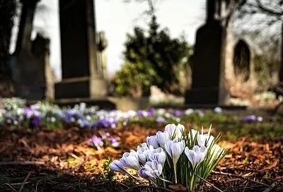 Оживите памятник: 5 шагов к вечнозеленой могиле с камнеломкой и хвойными