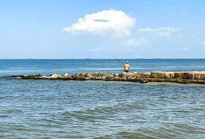Ущерб водным биоресурсам из ЧС с танкерами в Черном море оценили в 2,5 млрд рублей